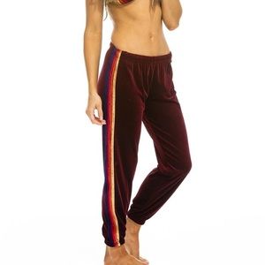 RARE Aviator Nation Velvet Sweatpants Wine